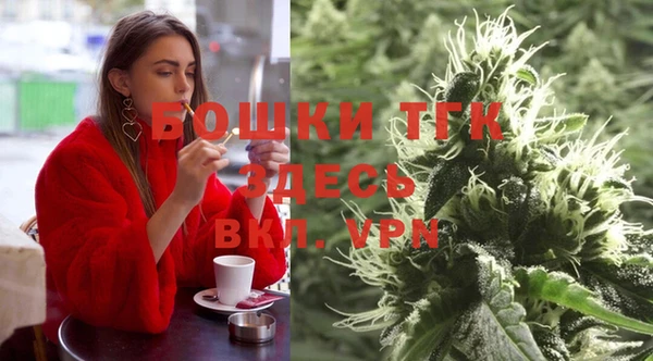 сатива Пролетарск