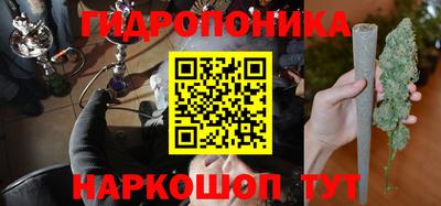 стаф Тара