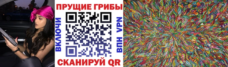 цена наркотик  Сорочинск  Псилоцибиновые грибы MAGIC MUSHROOMS 