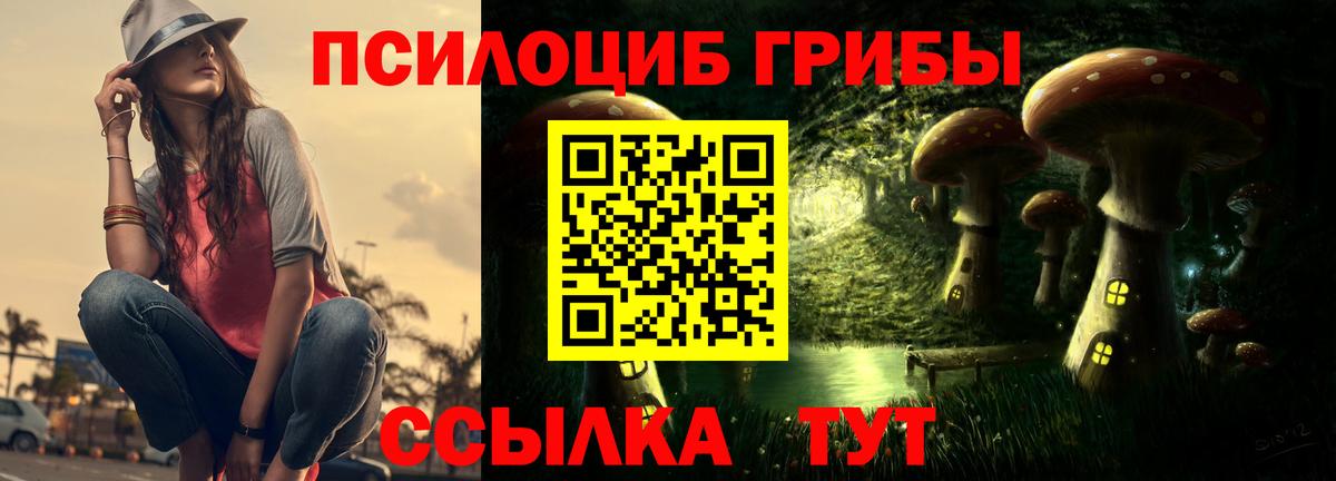 где купить   Вход с VPN  Сорочинск  Псилоцибиновые грибы Cubensis  Псилоцибиновые грибы MAGIC MUSHROOMS 