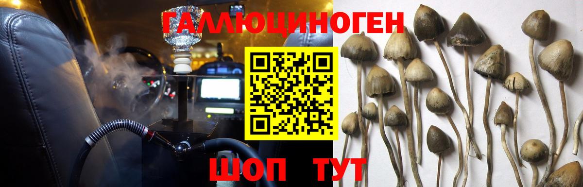 Псилоцибиновые грибы GOLDEN TEACHER Сорочинск